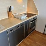 Rent 2 bedroom apartment of 57 m² in Jihlava