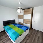 Rent 3 bedroom apartment of 59 m² in Oberhausbergen