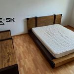 Rent 3 bedroom apartment of 97 m² in Číhošť