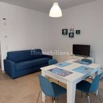 Rent 3 bedroom apartment of 55 m² in Vasto