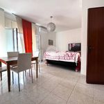 Affitto 3 camera appartamento di 80 m² in Sabaudia