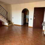 Rent 3 bedroom apartment of 84 m² in Guidonia Montecelio