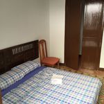 Rent a room in Puerto de la Cruz