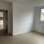 Rent 3 bedroom apartment of 66 m² in Duisburg