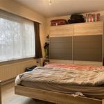  appartement avec 3 chambre(s) en location à Schilde