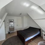 Rent 2 bedroom apartment of 55 m² in Zandvoort