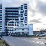 Wynajmij 3 sypialnię apartament z 79 m² w Gdynia