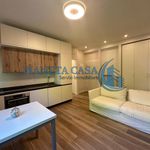 Rent 1 bedroom apartment of 55 m² in Milan