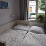 Rent 3 bedroom apartment of 65 m² in Potsdam