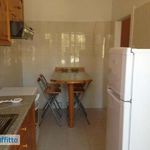 Rent 2 bedroom apartment of 73 m² in Rome