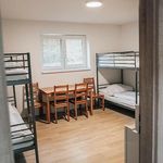 Rent 1 bedroom apartment of 21 m² in Potštát