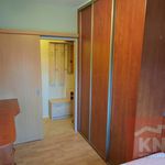 Wynajmij 3 sypialnię apartament z 53 m² w Bełchatów