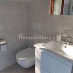 Rent 3 bedroom apartment of 70 m² in Craveggia