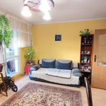Rent 3 bedroom apartment of 56 m² in Konin