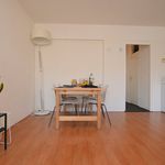 Rent 3 bedroom apartment of 64 m² in Groningen