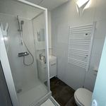 Rent 1 bedroom apartment of 26 m² in ET ROMAIN
