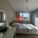 Rent 1 bedroom apartment of 42 m² in Rybnik