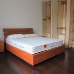 Rent 2 bedroom apartment of 92 m² in Padua