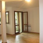 Rent 1 bedroom apartment of 40 m² in Toulouse