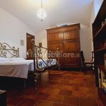 Rent 2 bedroom apartment of 60 m² in Piacenza