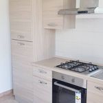 Rent 2 bedroom apartment of 47 m² in Arese