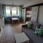 Rent 3 bedroom apartment of 56 m² in Katowice