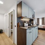 Miete 1 Schlafzimmer wohnung von 32 m² in Nuremberg