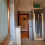 Rent 2 bedroom apartment of 55 m² in Ladispoli