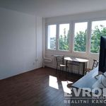 Rent 1 bedroom apartment of 28 m² in Hradec Králové