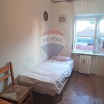 Affitto 5 camera appartamento di 120 m² in Trieste