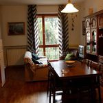 Rent 2 bedroom apartment of 65 m² in Siena