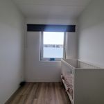 Rent 8 bedroom house of 157 m² in Assen