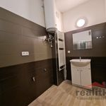 Rent 2 bedroom apartment in Opava