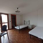 Affitto 4 camera casa di 131 m² in L'Aquila