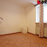 Rent 1 bedroom apartment of 72 m² in Brno