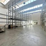 Rent 5 bedroom apartment of 800 m² in Collecchio