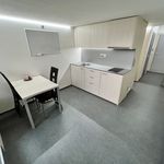 Rent 2 bedroom apartment of 41 m² in Zlín