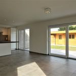 Rent 3 bedroom house of 125 m² in Jabbeke