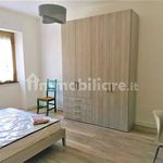 Rent 1 bedroom apartment of 100 m² in Frosinone