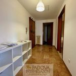 Rent a room of 12 m² in Padova
