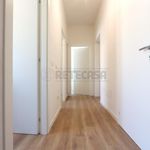Rent 1 bedroom apartment in Tonezza del Cimone