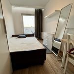 Wynajmij 3 sypialnię apartament z 54 m² w Koszalin