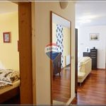 Rent 3 bedroom apartment of 85 m² in Číhošť