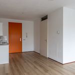 Huur 1 slaapkamer appartement van 29 m² in Delft