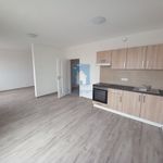Rent 1 bedroom apartment of 43 m² in Pilsen