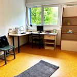 Rent 2 bedroom apartment of 37 m² in Belfort