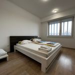 Rent 2 bedroom apartment of 77 m² in Frýdek-Místek