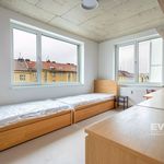 Rent 4 bedroom apartment of 68 m² in Hradec Králové