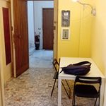 Affitto 4 camera appartamento in Roma