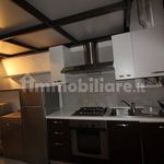 Rent 1 bedroom house of 65 m² in Torino
